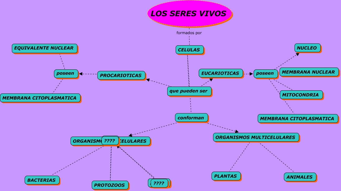 MAPA CONCEPTUAL SERES VIVOS.OLGA CHALA
